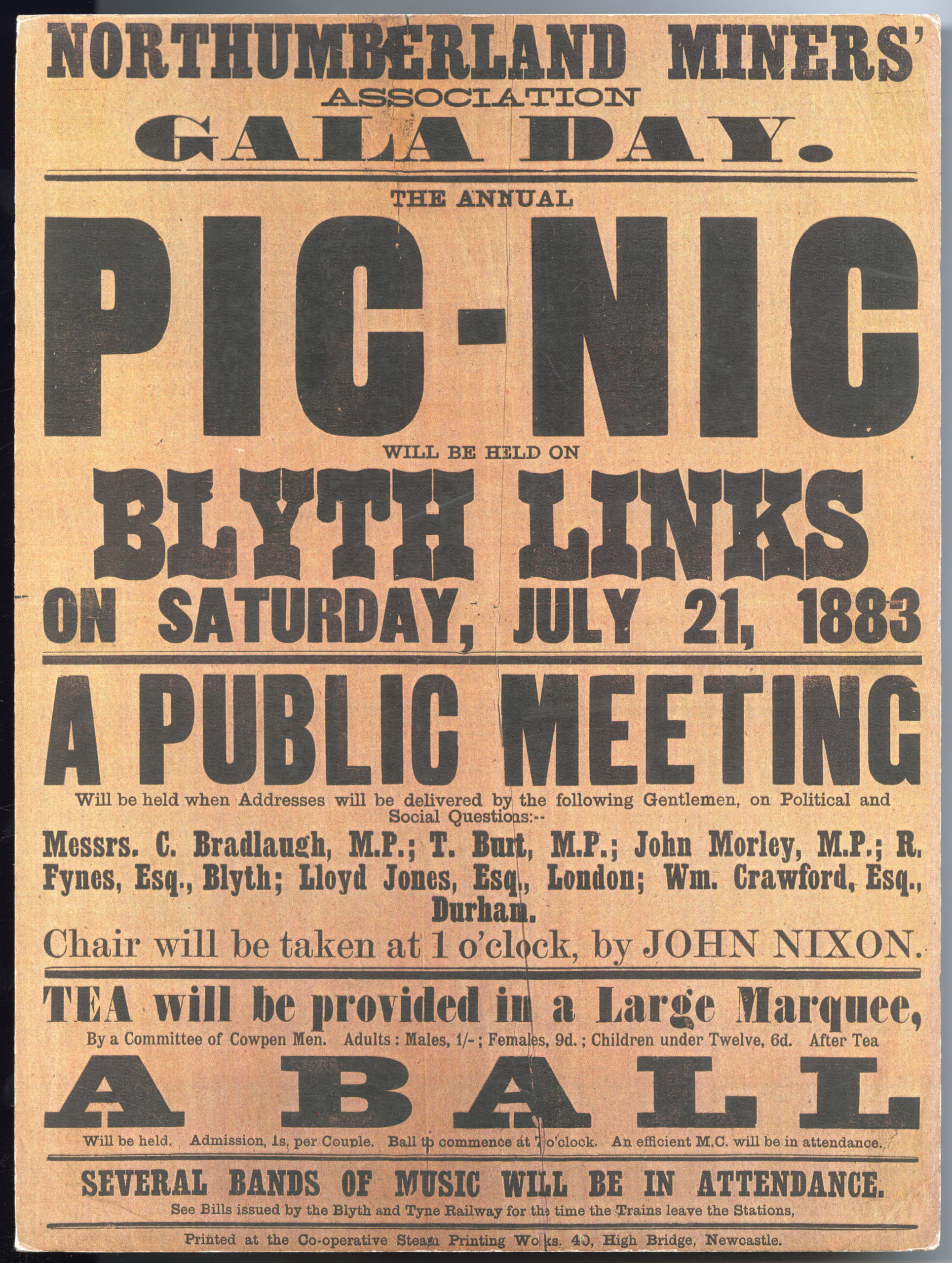 Miners Picnic Poster